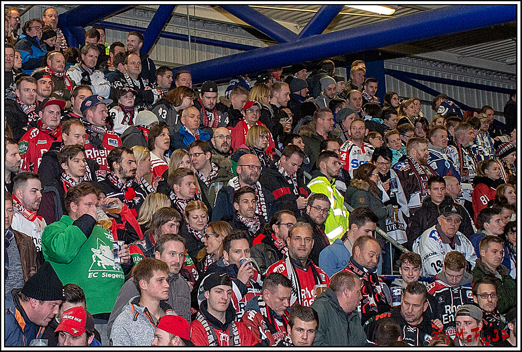 DEL; Iserlohn Roosters - Koelner Haie, 23.11.2018